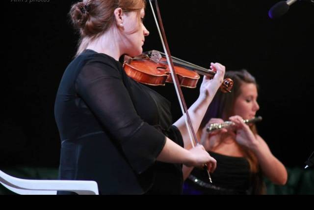 Violino