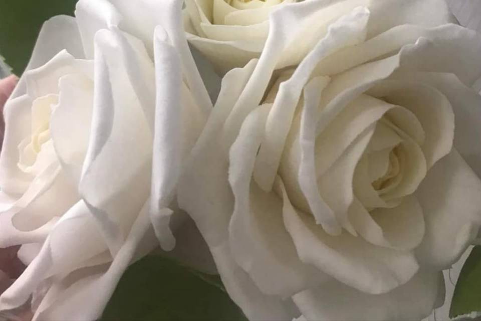 Our sugar flowers