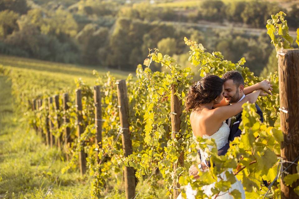 Sposi vigneto Tenuta di Sipio