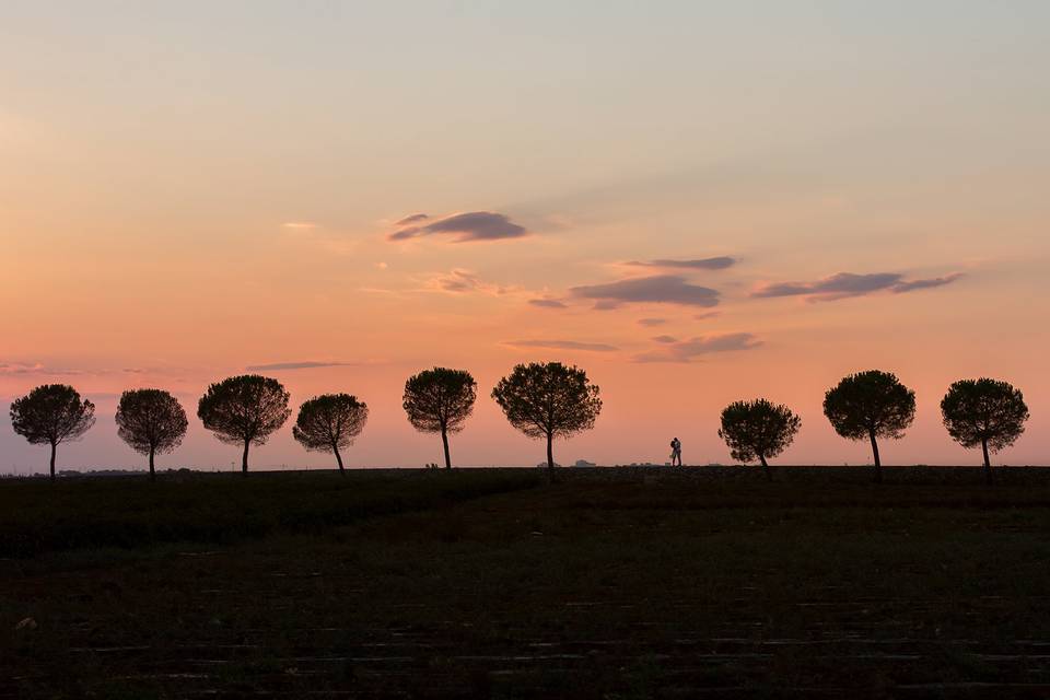 Silhouette sposi al tramonto