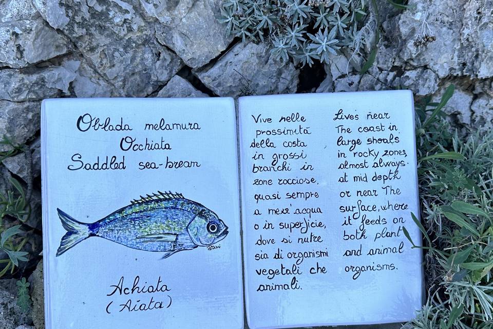 Libro in ceramica Fortini Anac