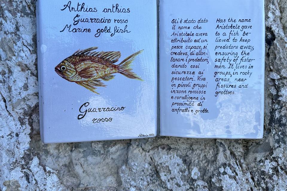 Libro in ceramica Fortini Anac