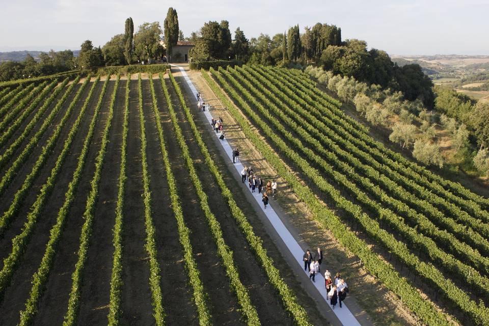 Sposarsi dentro al vigneto