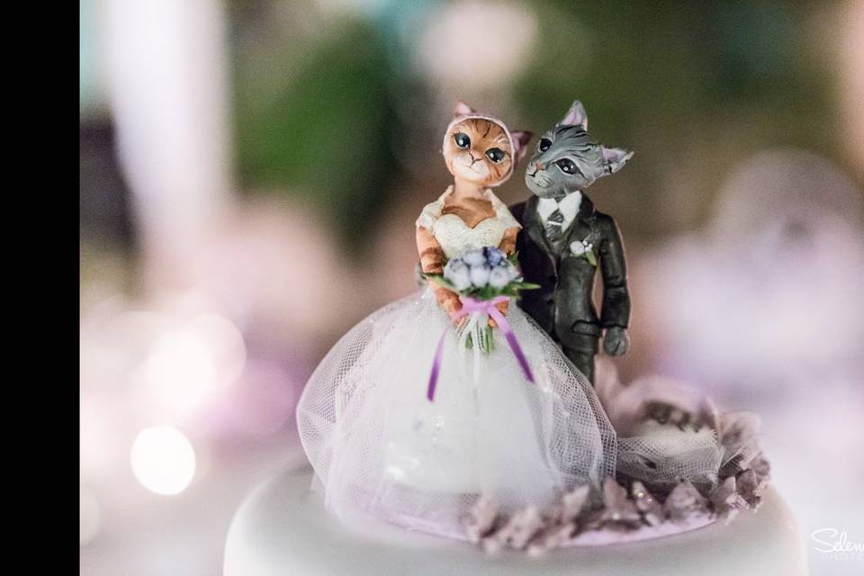 Cake topper su torta