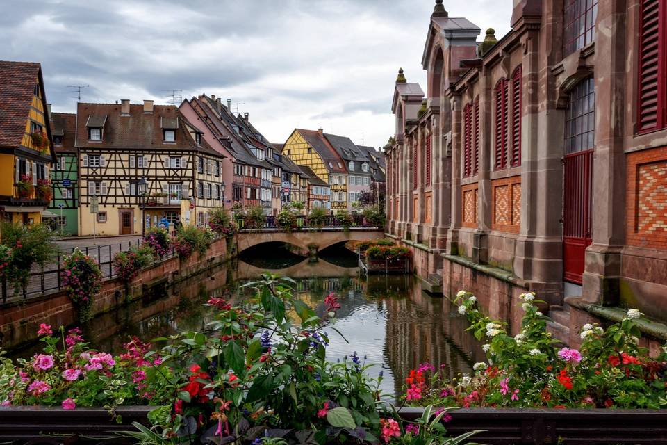 Colmar