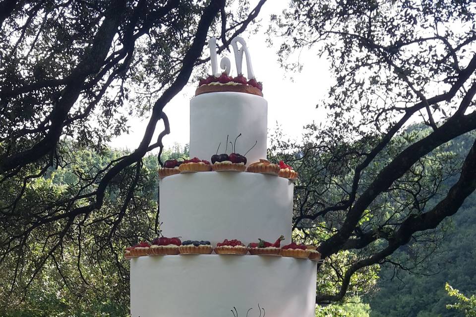 Taglio torta nel parco