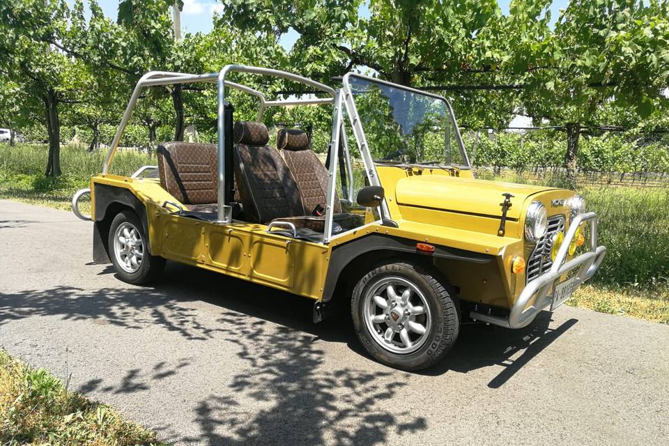 Spiaggina Dune Buggy