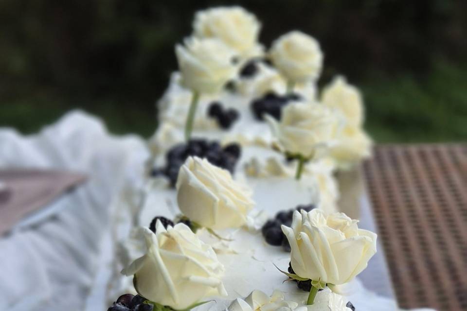 Long cake mirtilli