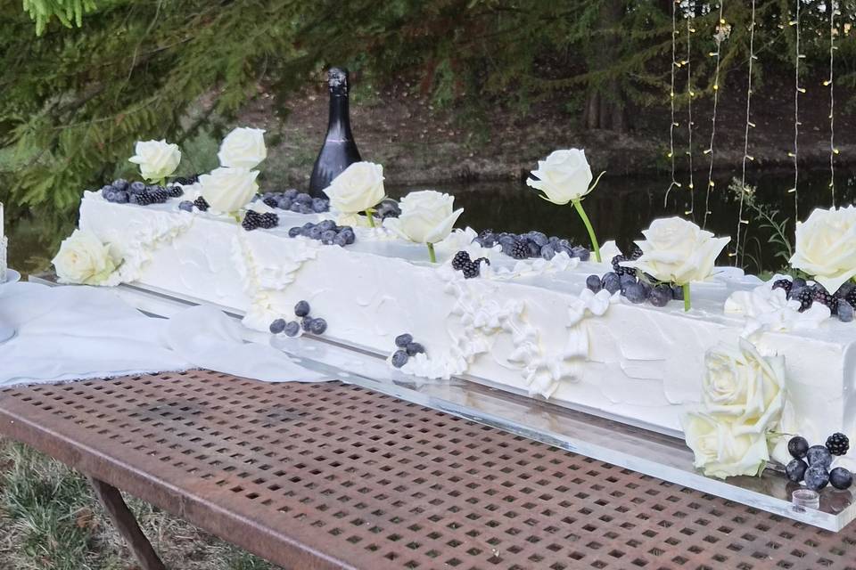 Long cake mirtilli