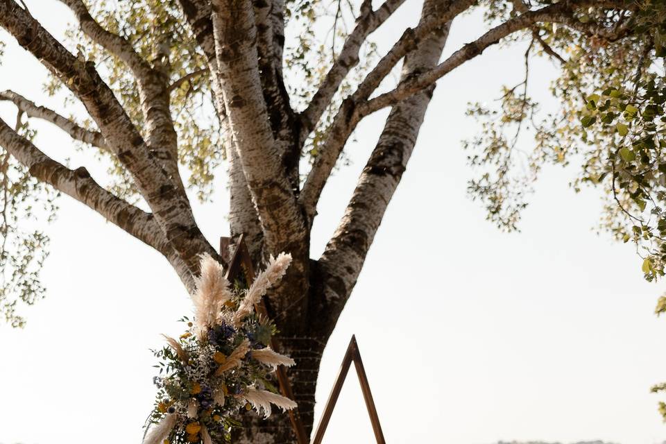 Arco speciale