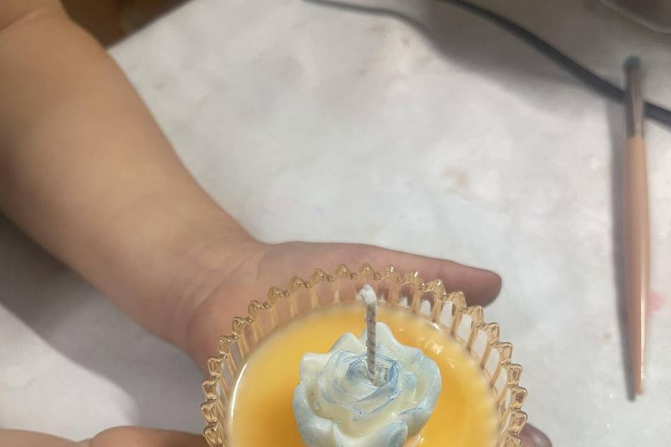 TerravivaLab