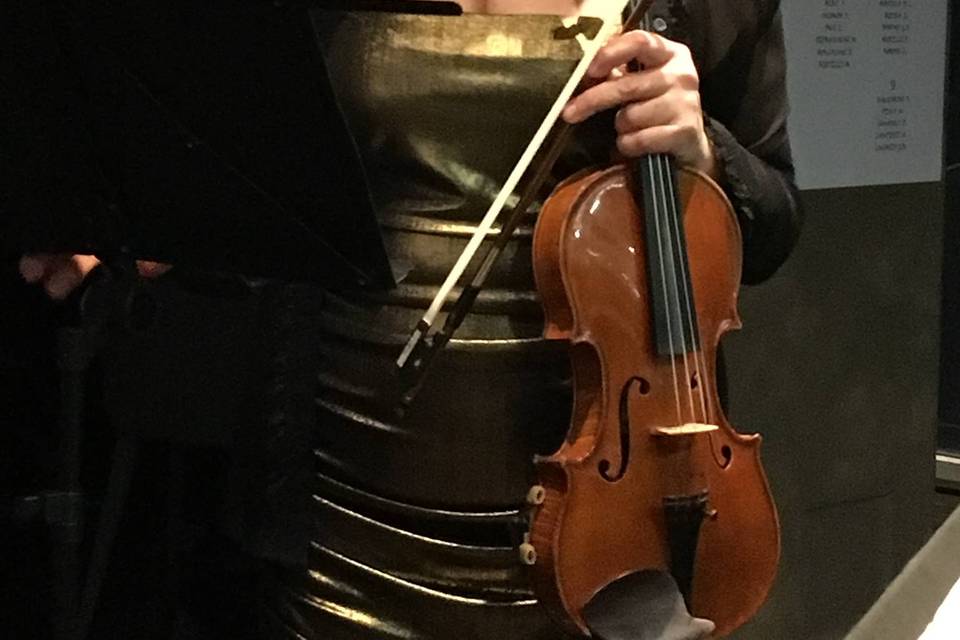 Violino solo