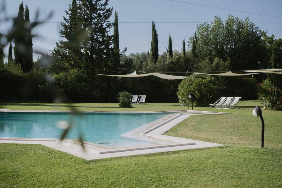 Il giardino