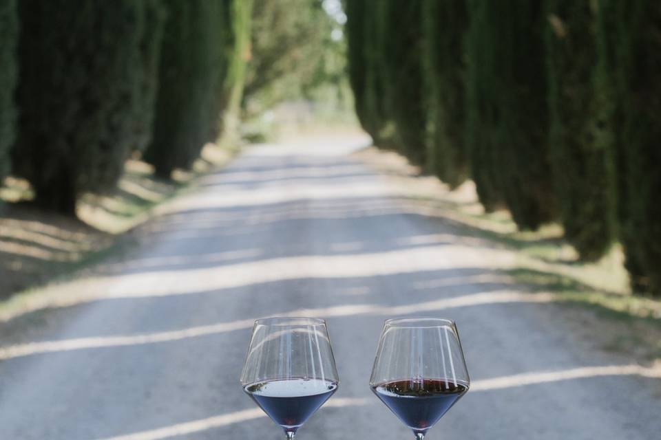 Il viale dei cipressi