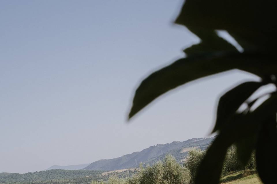 Il parco