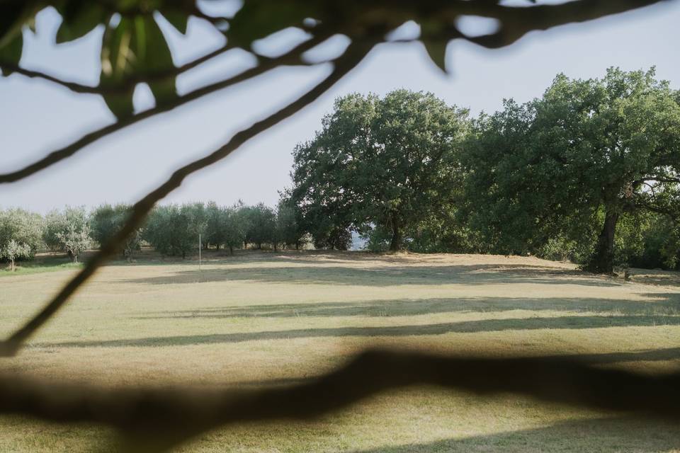 Il parco