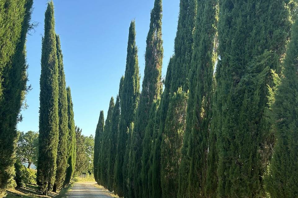 Gli esterni