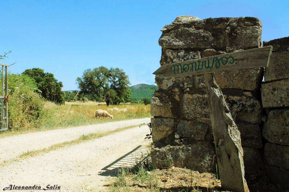 Ambiente esterno Montrigos