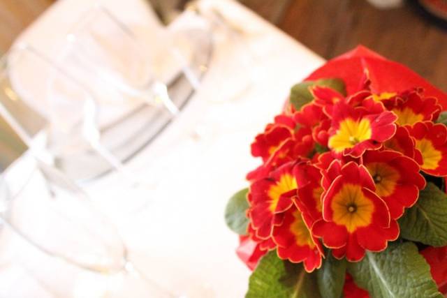 Wedding Day - Villa Razzolini