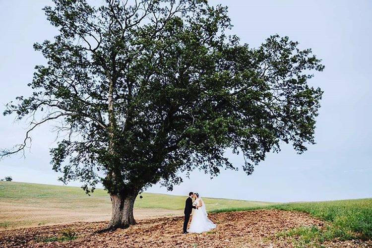 Fotografo matrimonio puglia