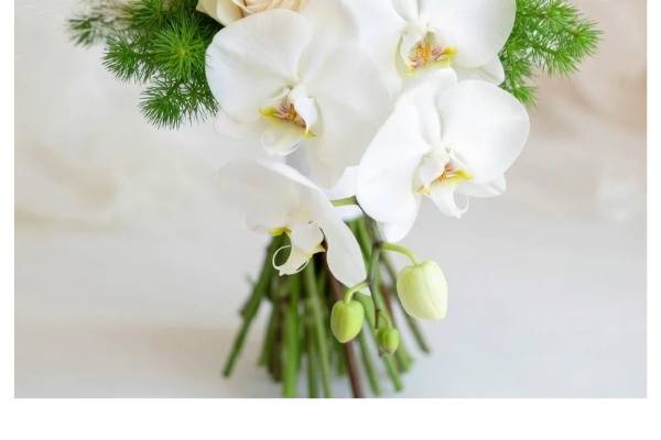 Foto Emozioni Floreali