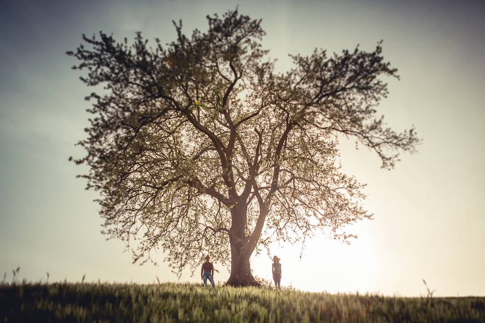 Wedding Storytelling