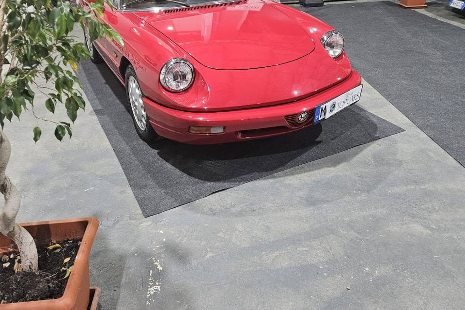 Alfa romeo spider