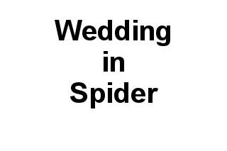 Wedding in Spider