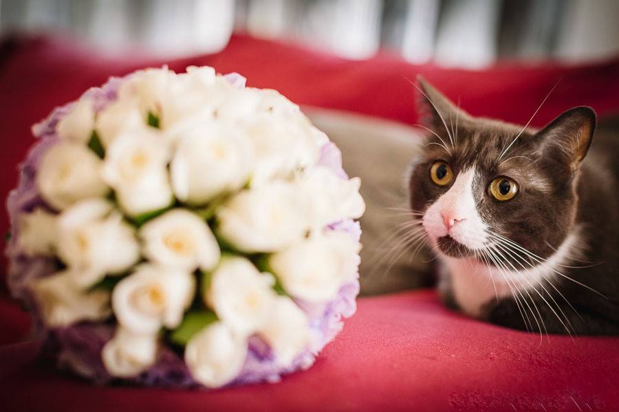 Bouquet romantico