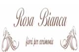 Rosa Bianca 