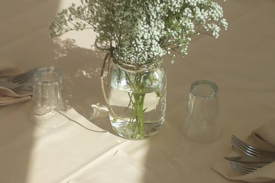 Luce e  gypsophila