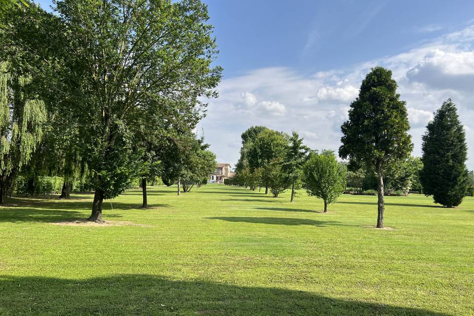 Giardino