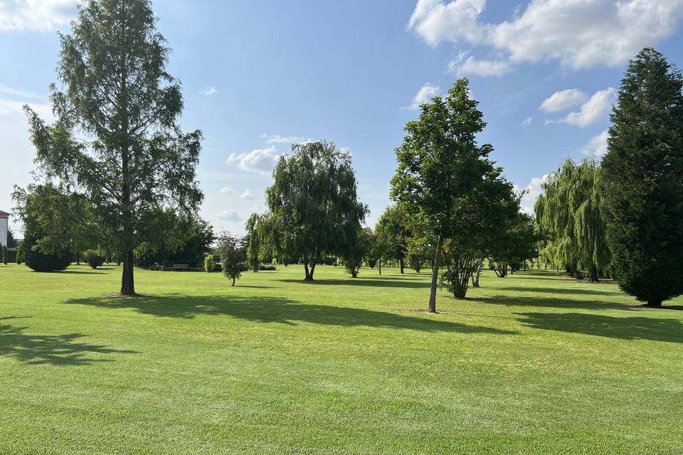 Giardino