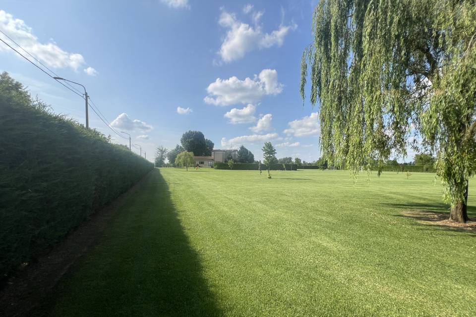 Giardino