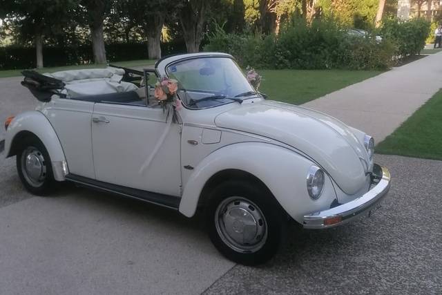 Maggiolone Cabrio Wedding Car