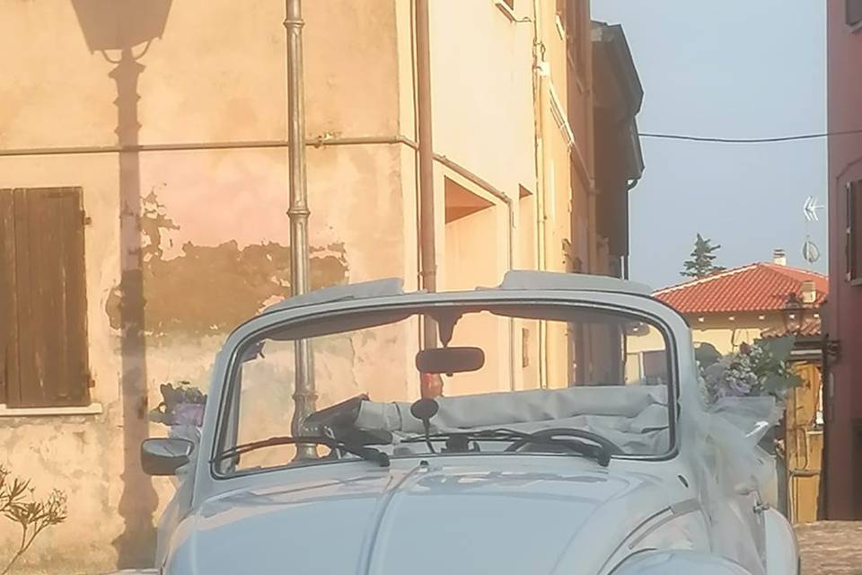 Maggiolino