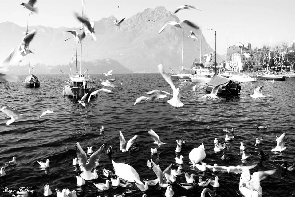 Lecco