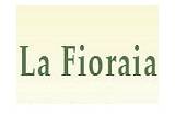 La Fioraia