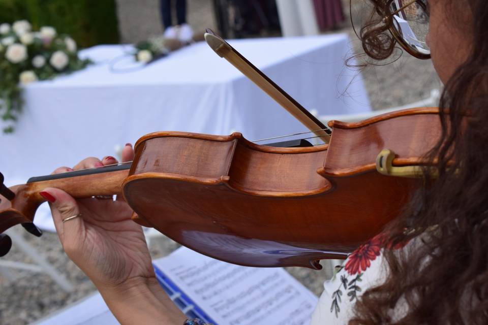 Cerimonia Violino