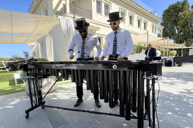 Intrattenimento matrimonio