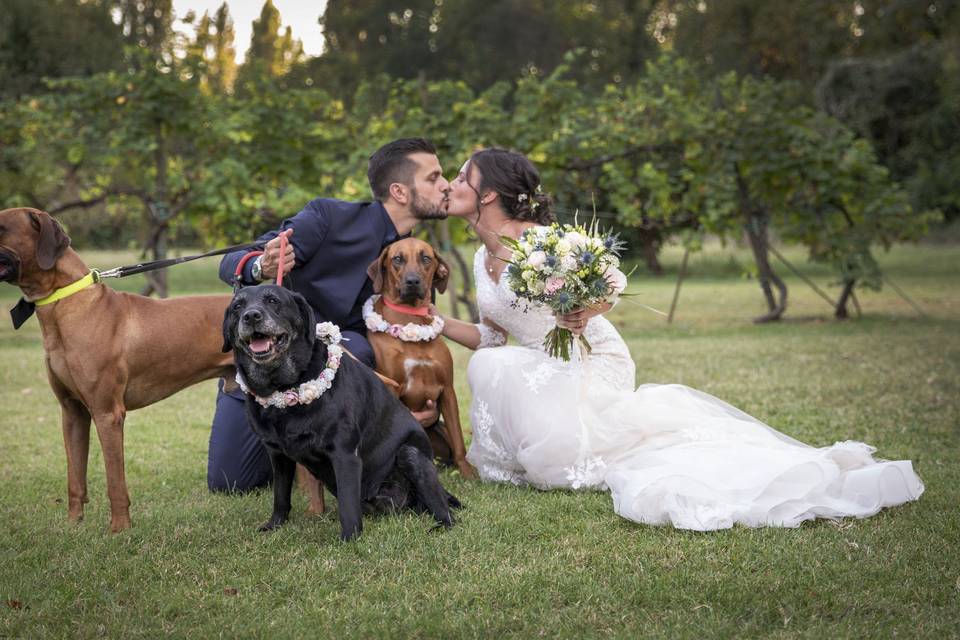 Giuliano Ferrari Wedding Storyteller