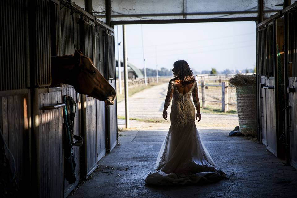 Giuliano Ferrari Wedding Storyteller