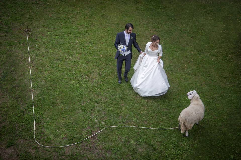 Giuliano Ferrari Wedding Storyteller