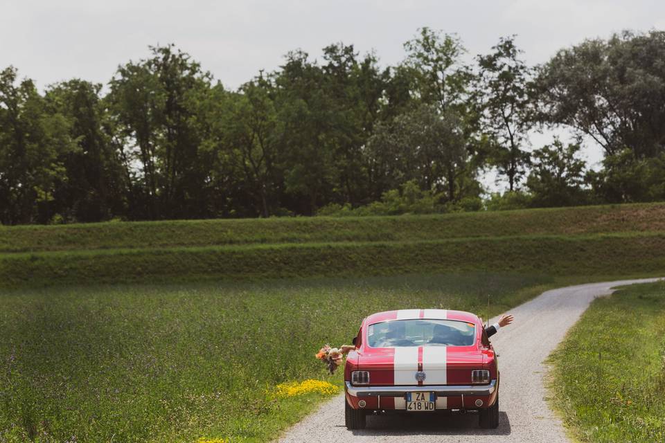 Giuliano Ferrari Wedding Storyteller