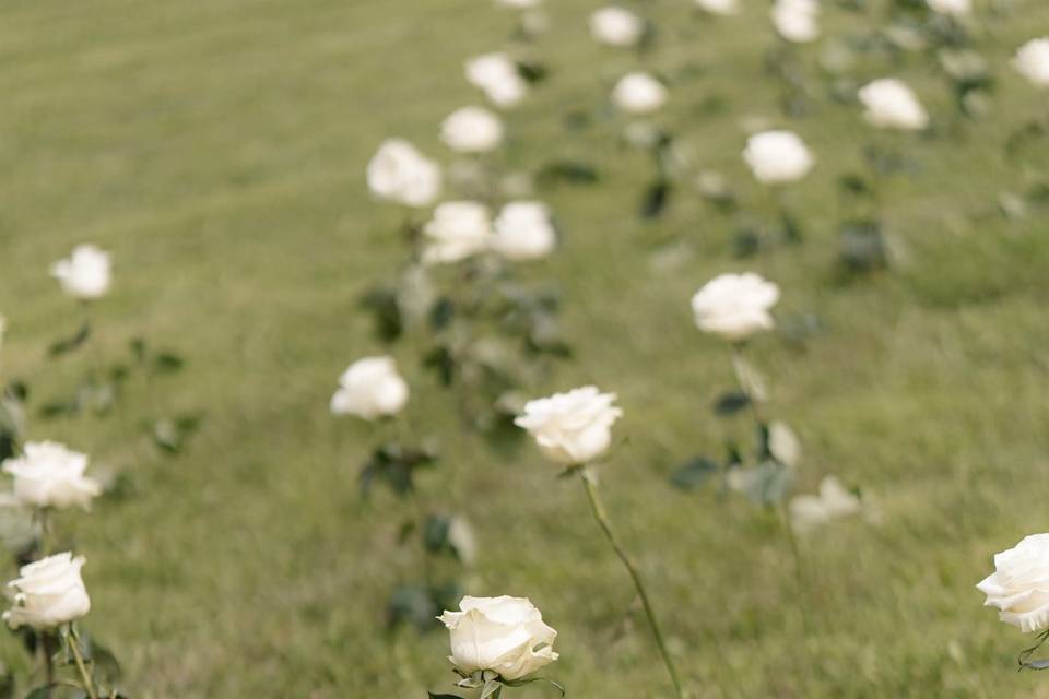 Colombano Fiori