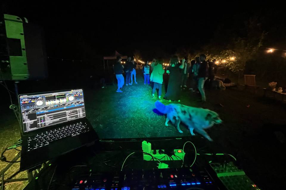 Music