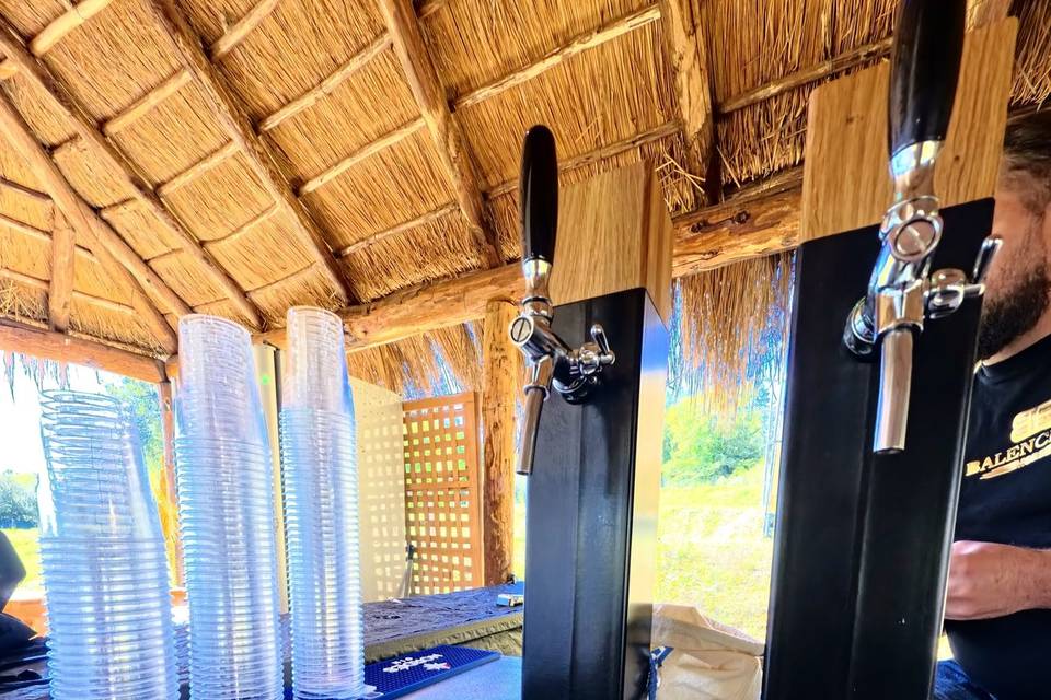 Draft Beer