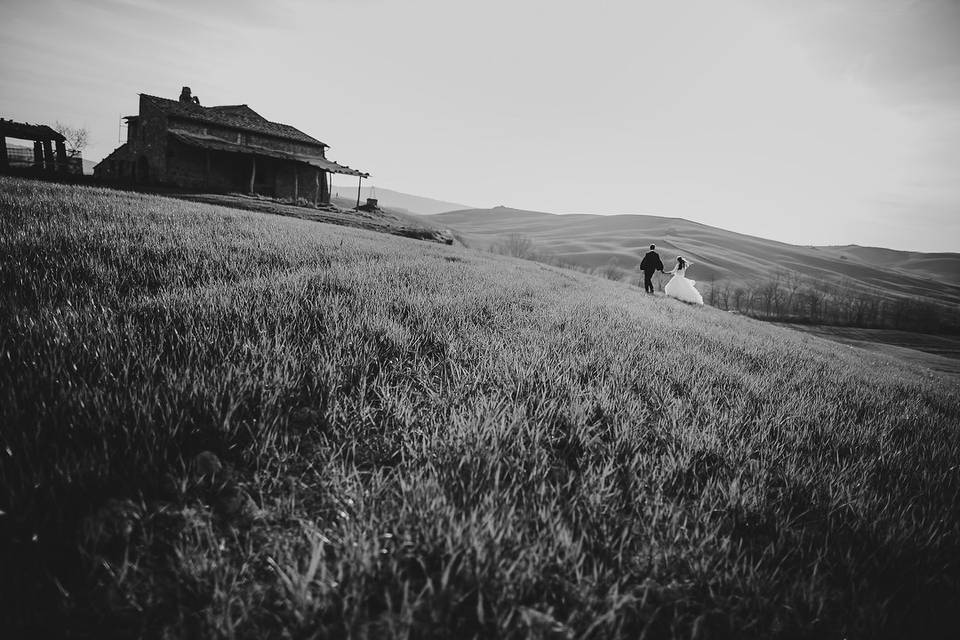 Campagna vicino a Pienza