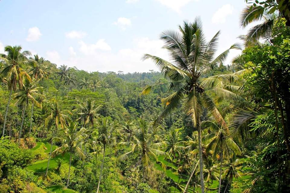 Bali Indonesia