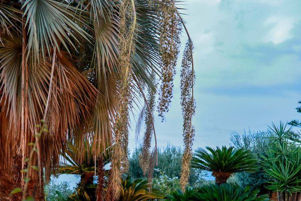 Capri Blue - Villa Le tre Monelle